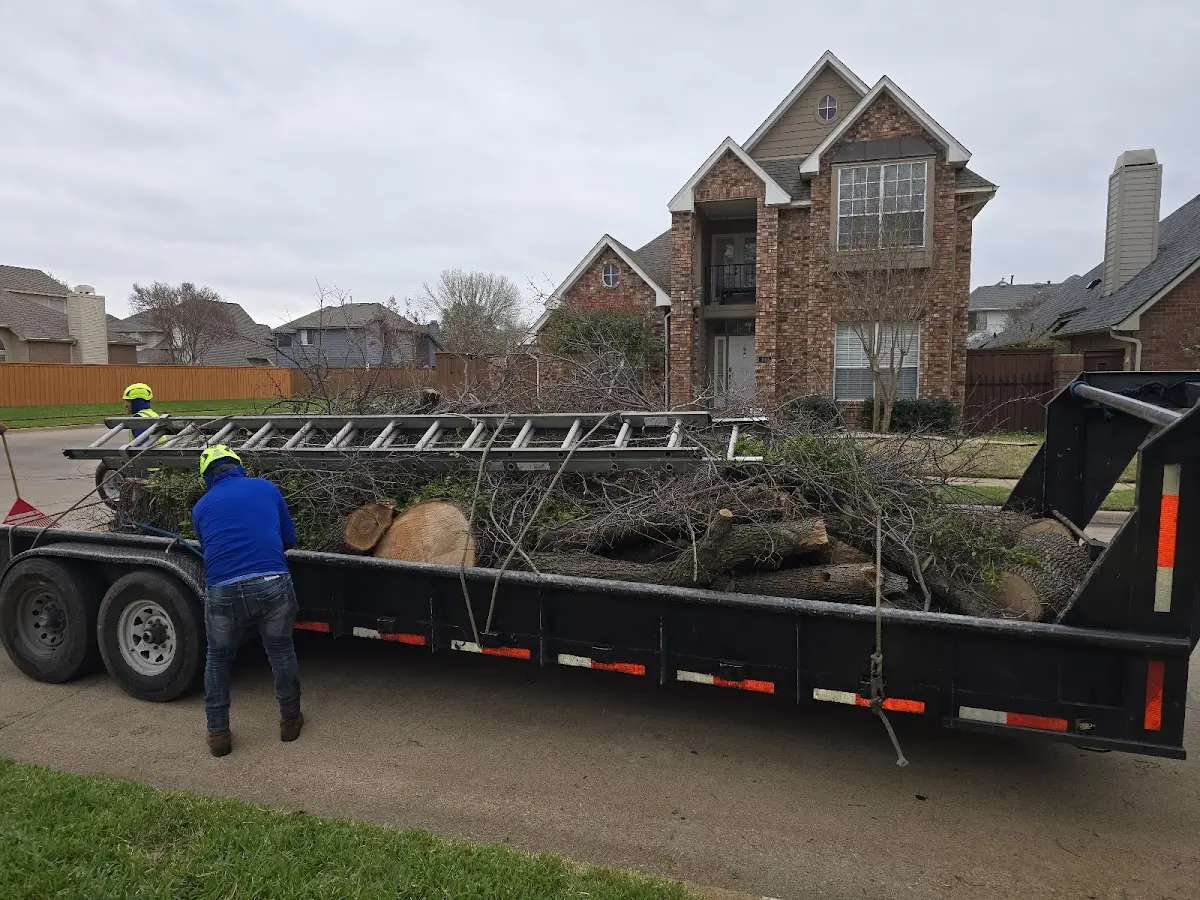Expert Tree Fertilization with proper safety equipment in Kearny